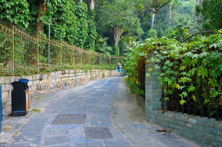 福建出臺(tái)園林綠化工程招標(biāo)新規(guī)，規(guī)范施工市場促高質(zhì)量發(fā)展